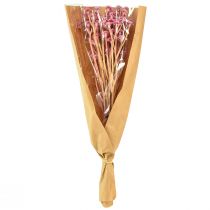 Prodotto Erba di curry Immortelle Rosa artificiale L28 cm 12 pezzi 1 mazzo