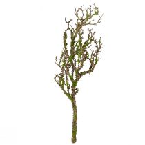 Prodotto Ramo decorativo con muschio artificiale decorazione autunnale grigio verde L78cm