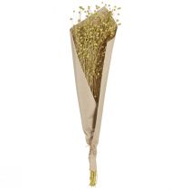 Prodotto Fiori di lino decorativi essiccati, verde oliva, 50 g