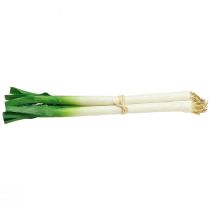 Prodotto Verdure decorative Cipolline verde bianco Ø1cm L28cm 3 pz