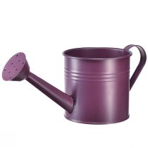 Prodotto Annaffiatoio decorativo fioriera in metallo viola Ø13,5 cm H12,5 cm
