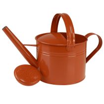 Prodotto Annaffiatoio decorativo in metallo in stile rustico, arancione-marrone, 26 cm, 5 l - Versatile, utilizzabile sia come vaso che come annaffiatoio decorativo.