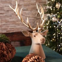 Prodotto Scultura decorativa a forma di testa di cervo con grandi corna, 52 cm