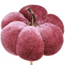 Prodotto Zucca decorativa in tessuto zucca su bastone rosa bordeaux Ø7cm 9 pz