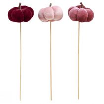 Prodotto Zucca decorativa in tessuto zucca su bastone rosa bordeaux Ø7cm 9 pz