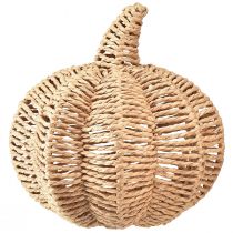 Prodotto Rafia decorativa di zucca decorazione autunnale rustica naturale Ø25cm H25cm
