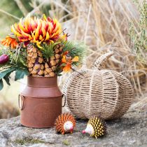 Prodotto Rafia decorativa di zucca decorazione autunnale rustica naturale Ø25cm H25cm