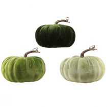 Prodotto Zucca decorativa verde autunnale verde scuro verde chiaro Ø18cm 3 pezzi