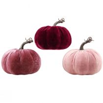 Prodotto Zucche decorative floccate rosa bordeaux Ø13 cm H11,5 cm 3 pz
