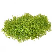 Prodotto Muschio decorativo verde artificiale – cuscino in muschio 10/12/14 cm 3 pz