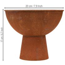 Prodotto Ciotola decorativa con base, calice, metallo color ruggine, Ø20,5 cm, 2 pezzi
