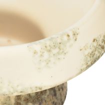 Prodotto Ciotola decorativa in ceramica con base crema grigio verde Ø17cm 10cm