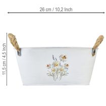 Prodotto Ciotola ovale decorativa in metallo, bianca con decorazioni floreali naturali, lunghezza 26 cm