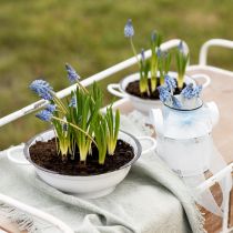 Prodotto Ciotola decorativa in metallo bianco nero vintage Ø20,5cm 3pz