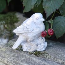 Prodotto Statuetta decorativa di uccello passero in pietra fusa bianca H12,5cm