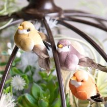 Prodotto Uccelli decorativi, decorazioni artificiali per la casa, occasioni primaverili, con piumaggio colorato fatto di piume vere, 5 cm, 18 pezzi
