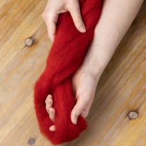 Prodotto Cordoncino di lana, lana decorativa, rosso, lana infeltrita da 2 m per fiori, decorazioni e artigianato