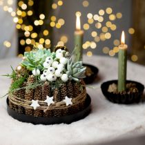 Prodotto Scatola fai da te Decorazione natalizia con composizione succulenta Ø20cm