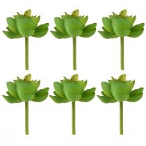 Prodotto Echeveria Succulente Artificiali Verdi Ø7cm 6 pz