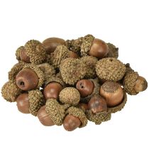 Prodotto Ghiande per decorazione, decorazione autunnale, frutti autunnali naturali Ø1,5 – 2,5 cm L1,5 – 3 cm 300 g