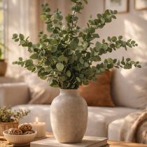 Prodotto Rami e foglie di eucalipto essiccati e conservati, forma rotonda, colore verde, 150 g.