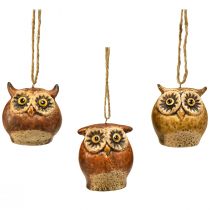 Prodotto Adorabili pendenti con gufo - Toni marroni rustici, 5,6 cm - Decorazione perfetta per l&#39;autunno e il Natale - Confezione da 3