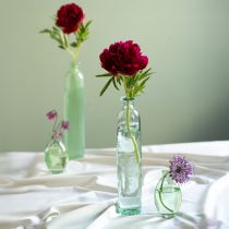 Prodotto Decorazione bottiglia vaso vetro trasparente/verde retrò Ø6,5cm H30cm