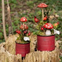 Prodotto Funghi velenosi su bastoncino, rossi, 5,5 cm - funghi autunnali decorativi per il giardino e la casa, 6 pezzi