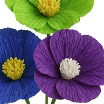 Prodotto Carta crespa per fioristi viola scuro 50x250cm