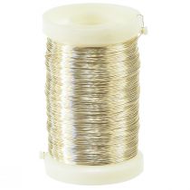 Prodotto Filo per fiorista Filo di mirto champagne 0,30 mm 100 g 3 pz