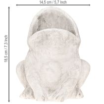 Prodotto Vaso decorativo per piante a forma di rana, in cemento grigio, altezza 18,5 cm