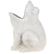 Prodotto Vaso decorativo per piante a forma di rana, in cemento grigio, altezza 18,5 cm