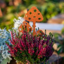 Prodotto Spina decorativa da giardino con patina di agarico volante 15 cm 6 pezzi