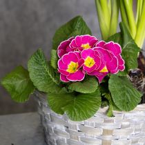 Prodotto Cestino intrecciato come elegante decorazione floreale nella zona giorno. Cestino pasquale, 23 cm, 6 pezzi.