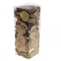 Prodotto Foglie essiccate, Moneta decorativa, composizioni floreali essiccate, naturali, 200 g