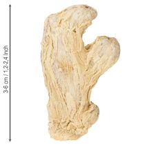 Prodotto Decorazione allo zenzero essiccato Decorazione naturale 500g