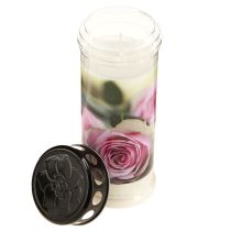 Prodotto Candele per tomba, candele a olio per lutto, rose Ø7,5cm H20,5cm 6 pezzi