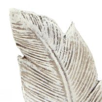 Prodotto Decorazione tombale piuma grigio bianco decorazione tomba in poliresina 15,5 cm 4 pz