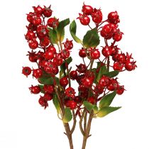 Prodotto Ramo decorativo di rosa canina con frutti rossi L60cm 2 pz
