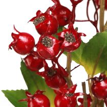 Prodotto Ramo decorativo di rosa canina con frutti rossi L60cm 2 pz