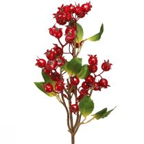 Prodotto Ramo decorativo di rosa canina con frutti rossi L60cm 2 pz