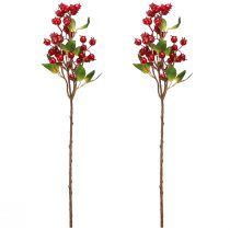 Prodotto Ramo decorativo di rosa canina con frutti rossi L60cm 2 pz