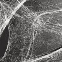 Prodotto Decorazione di Halloween ragnatela ragnatele 70×100cm 150g