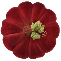 Prodotto Decorazione autunnale zucca floccata rosso bordeaux - decorazione di zucca per un ambiente autunnale unico 32 cm