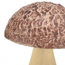 Prodotto Funghi in legno funghi decorativi decorazione da tavolo autunno marrone naturale 5×6 cm 8 pz