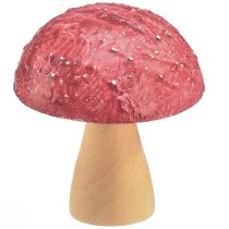 Prodotto Funghi in legno funghi decorativi decorazione da tavola autunno rosso naturale 5×6cm 9pz