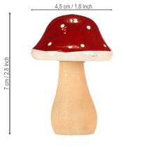 Prodotto Funghi di legno, funghi velenosi, decorazione, legno, FSC, rosso-marrone, H6,5/7 cm, 4 pezzi