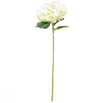 Prodotto Ortensia artificiale gigante fiore decorativo bianco Ø23cm L84cm