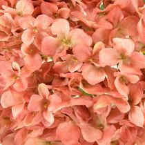 Prodotto Ortensia rosa 80 cm 1 pz