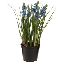 Prodotto Giacinti artificiali in vaso blu 24 cm
